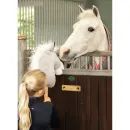 Play Time Ponies Hobby Horse Unicorn Edition with Bag by Hy Equestrian additional 5