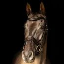 ProPresicce Pelle Crank Leather Bridle by Hy Equestrian additional 4