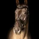 ProPresicce Pelle Crank Leather Bridle by Hy Equestrian additional 2