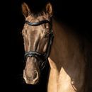 ProPresicce Pelle Raised Flash Leather Bridle by Hy Equestrian additional 2