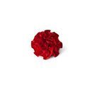 Supreme Products Class Act Carnation additional 2