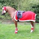 Hy Equestrian Christmas Santa Exercise Sheet additional 2