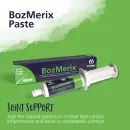 Hestevard BozMerix Paste additional 2