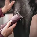 Wahl KM Supera Equine Clipper additional 2