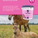 Hestevard Foal Milk Powder additional 7