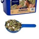 D&amp;H Echinacea additional 2