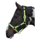 Hy Equestrian Deluxe Padded Head Collar additional 3