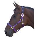 Hy Equestrian Deluxe Padded Head Collar additional 5