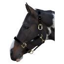 Hy Equestrian Deluxe Padded Head Collar additional 6