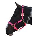 Hy Equestrian Deluxe Padded Head Collar additional 8