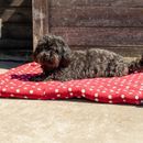 Supreme Products Dotty Fleece Dog Bed additional 5