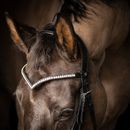 ProPresicce Signature V Diamante Browband by Hy Equestrian additional 3