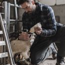 Hoggs Caithness Polar Fleece Check Workshirt - Blue additional 4