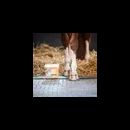 NAF PROFEET Pellets (3kg) additional 2