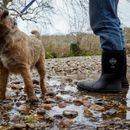 Muck Boots Chore Classic Short Wellington Boot - Black additional 9