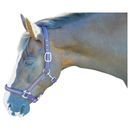 Hy Diamante Head Collar - Brilliant Blue/Diamante additional 1