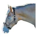 Hy Diamante Head Collar - Black/Diamante additional 1