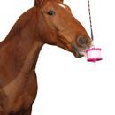 Likit Holder - Pink Glitter additional 3