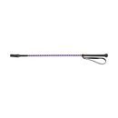 HySCHOOL Lollipop Whip - 65cm additional 2