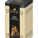Lincoln Horse Treats Tin - 750g additional 2