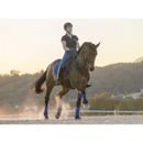 LeMieux ProSport Lustre/Suede Dressage Square (D-Ring) - Benetton Blue - Small/Medium additional 3