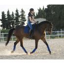LeMieux ProSport Lustre/Suede Dressage Square (D-Ring) - Benetton Blue - Small/Medium additional 2