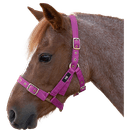 Hy Holly Fully Adjustable Head Collar - Purple additional 1