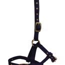 Hy Foal Head Collar - One Size additional 2