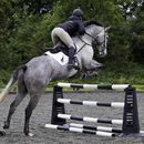 Classic Showjumps Pro Jump Maxi - Blue additional 3