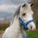 Little Rider Star in Show Head Collar and Leadrope - Regatta Blue - Cob additional 4