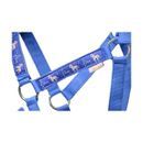 Little Rider Star in Show Head Collar and Leadrope - Regatta Blue - Cob additional 2