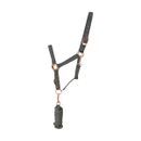 Hy Rose Gold Head Collar and Lead Rope additional 2