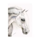 Deckled Edge Eureka! A4 Print - Flea Bitten Grey additional 1