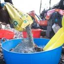 Red Gorilla Large Shallow Multipurpose Flexi Tub - 35 Litre additional 2