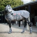 Equilibrium Therapy Magnetic Back Pad &amp; Quarters Extension additional 6