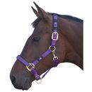 Hy Deluxe Padded Head Collar - Cob additional 2