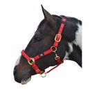 Hy Deluxe Padded Head Collar - Cob additional 3