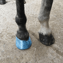 Farrier Cling Multipurpose Film Wrap additional 2