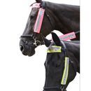 HyVIZ Bridle Set - 3 pieces additional 1