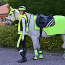 HyVIZ Reflector Mesh Exercise Sheet - Yellow additional 1