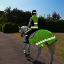 HyVIZ Reflector Mesh Exercise Sheet - Yellow additional 2