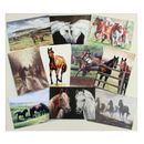 Caroline Cook Equestrian Cards additional 1