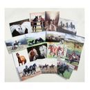 Caroline Cook Equestrian Cards additional 2