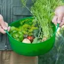 Gorilla Tub Shallow Multipurpose Flexible Mini Tub - 5 Litre additional 3