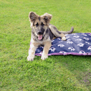 Hy Unicorn Dog Bed - Navy/Pink additional 3
