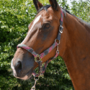 Hy Multicolour Adjustable Head Collar with Rope - Dark Grey/Grey/Pink additional 2