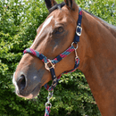 Hy Multicolour Adjustable Head Collar with Rope - Navy/Raspberry/Sea Blue additional 2