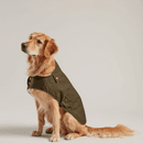 Joules Wax Green Dog Coat additional 1