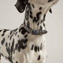 Joules Leather Dog Collar - Navy additional 2