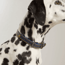 Joules Leather Dog Collar - Navy additional 1